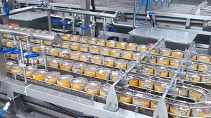Ligne de production de thon en boîte de conserve