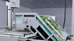 Ligne de production de concombres en conserve