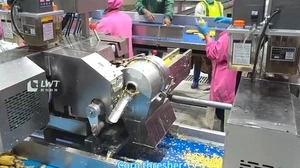 Ligne de production de maïs en boîte