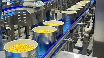 Ligne de production de maïs en boîte