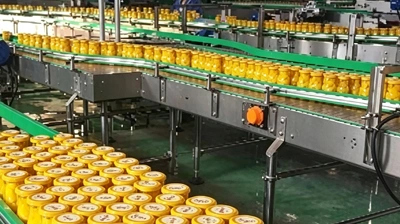 Ligne de production de pêches jaunes en conserve