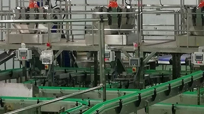 Ligne de production de pêches jaunes en conserve