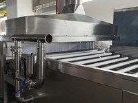 Pasteurisateur à bain-marie avec convoyeur à rouleaux